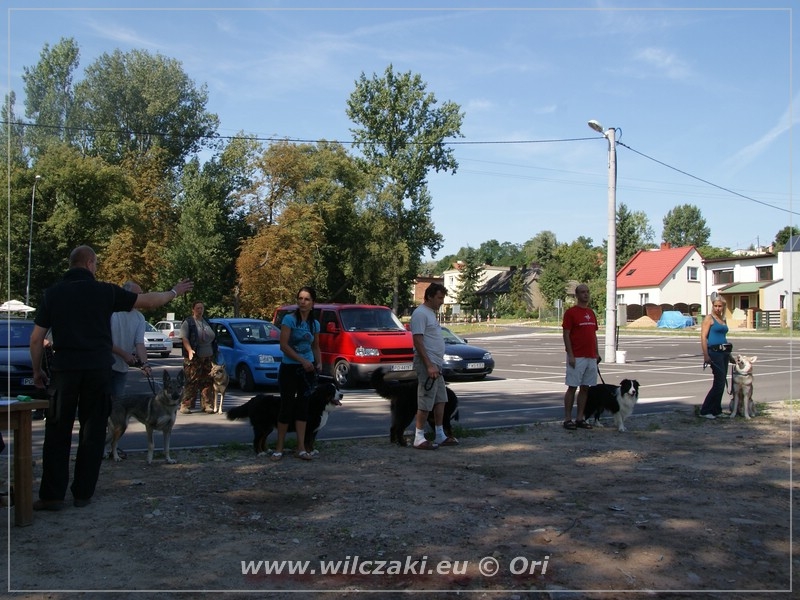 Zkoušky Osieczna - srpen 2010 - Abel s Milenou v pravo