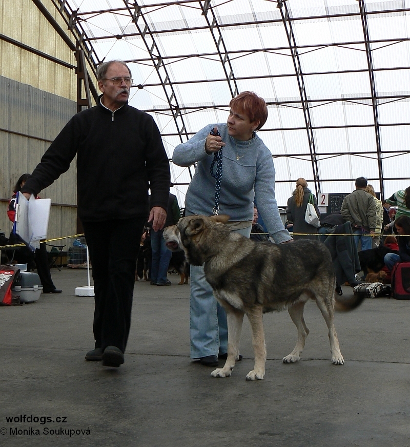 rozhodčí Adlt, Hana a Ararat z Molu Es - bonitace 13.11. 2010