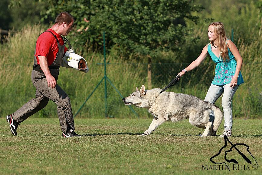 Bára a Api na obraně - 14.6. 2011 KO Stromovka