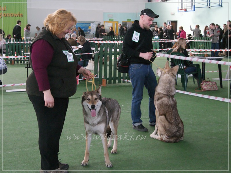 Ela a Baby Speedy Miraja, Pawel a Be Happy Wolf z Molu Es - BOB - 10.4. 2011 Nowy Dwor Mazowiecki (PL)