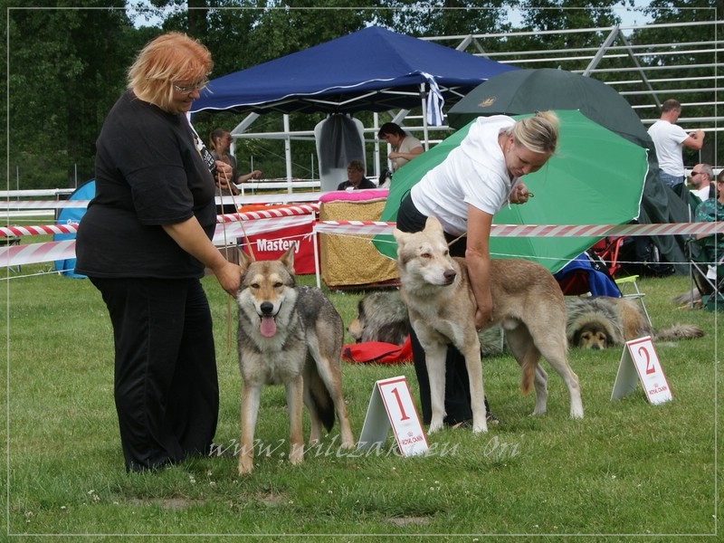 KV SAV Mladá Boleslav 2012 - Be Happy Wolf z Molu Es vpravo