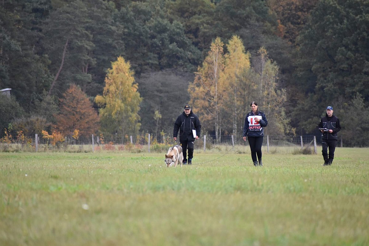 Mohelnice 23 MCRS Budas a Kamila na stopě