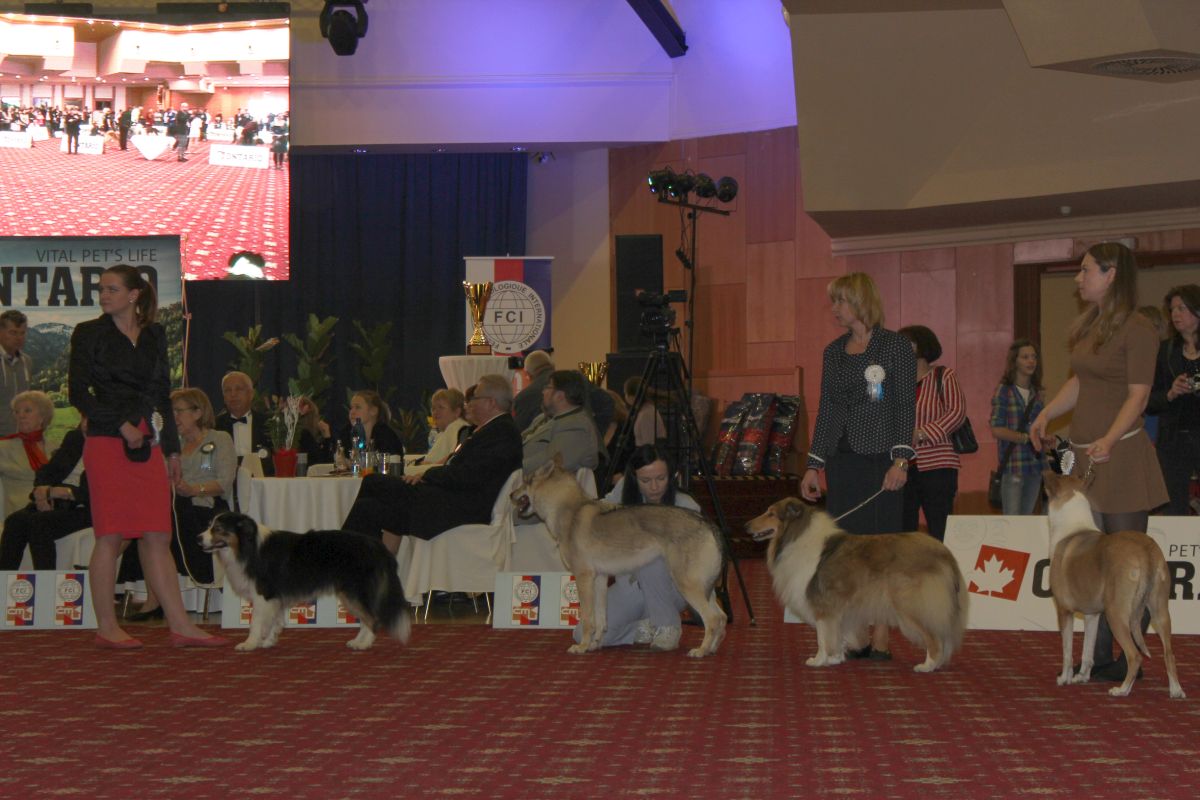 šampion šampionů Top hotel Praha