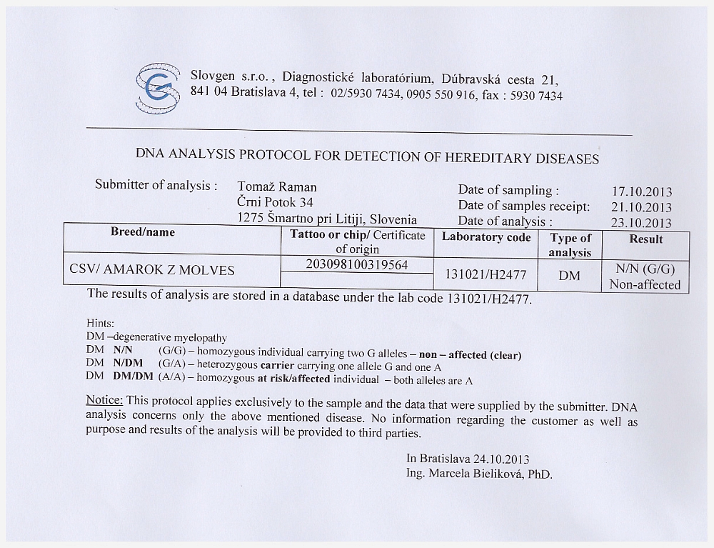 DM test Amarok