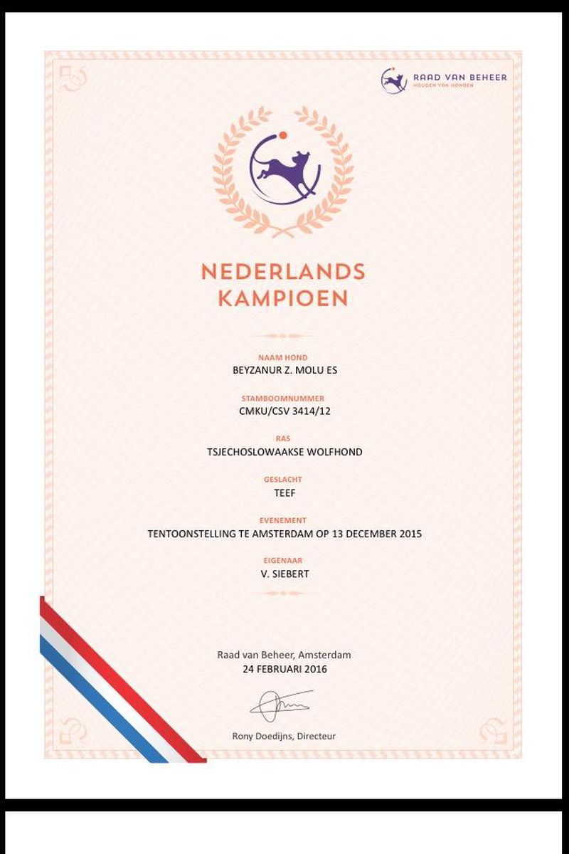Beyzanur z Molu Es - šampion Holandska