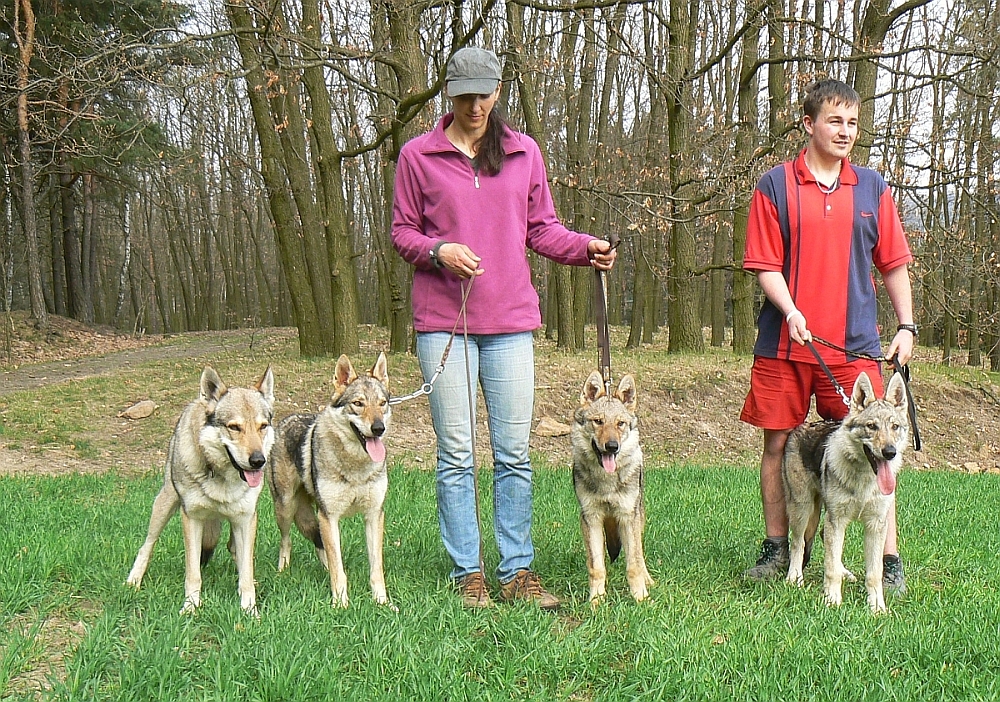 Kamila s Ohniváčkem, Tinky a Budulínkem, Martin s Borou - 21.4.2013