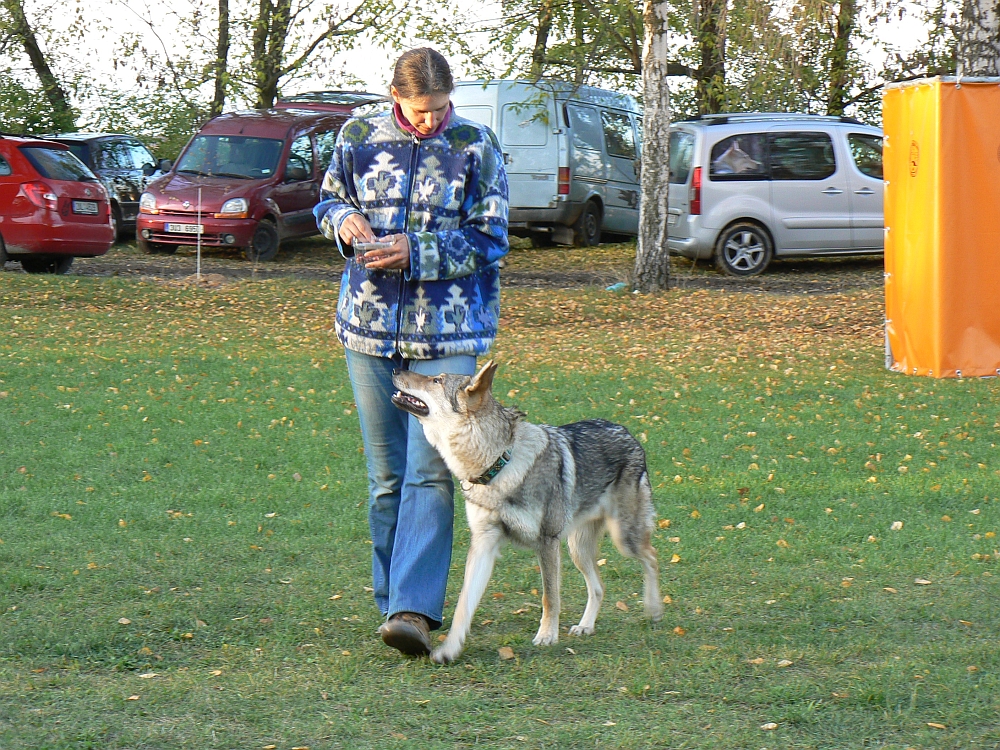 Budulínek a Kamila - Roudnice