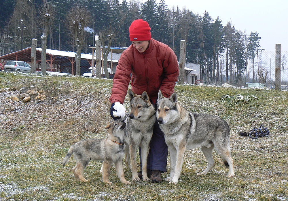 Kamila, Czech, Budulínek a Ohnivák all z Molu Es - Starý Plzenec