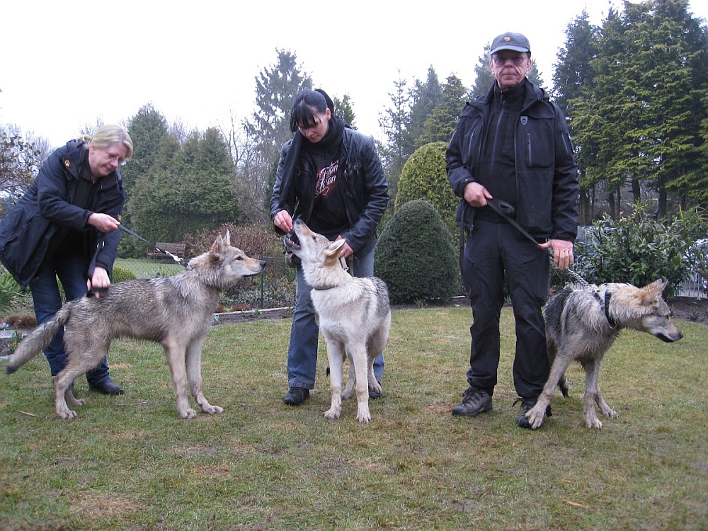 setkání - Barcley II, Beyzanur a Be Fenrir s majiteli - setkání Kiel Německo 13.4.2013