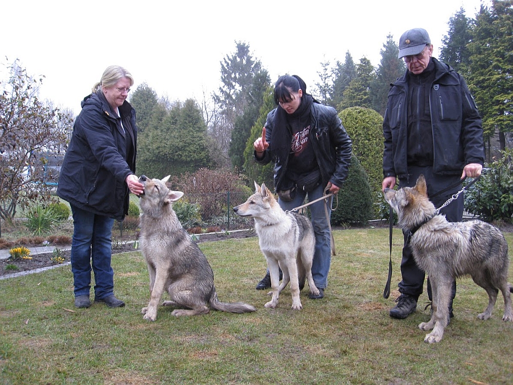 Barcley II, Beyzanur a Be Fenrir s majiteli - setkání Kiel Německo 13.4.2013