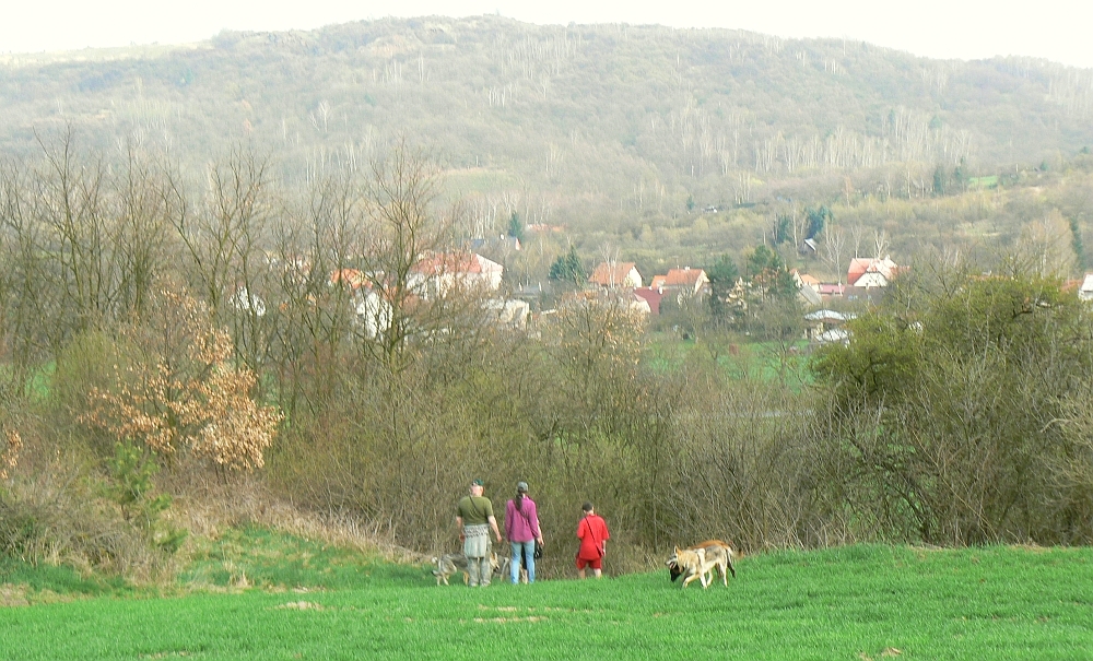 Třebichovice 21.4.2013 a výletníci se psí smečkou