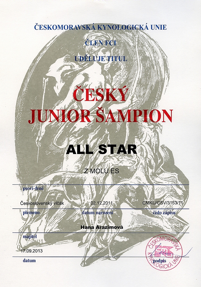 Český Junior šampion - All Star z Molu Es