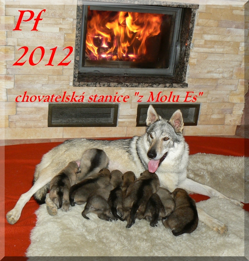 PF 2012 - kennel "z Molu Es"