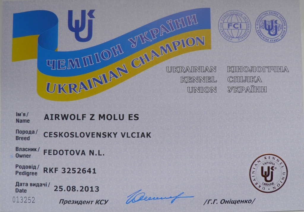 diplom - Ukrajinský šampion