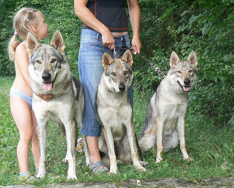 Yukon z Molu Es a její dcery Atinka Sun a Aglaya z Molu Es - 31.7.2012 Únětice