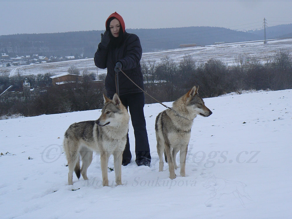 Petra, Aglaya a Tinky - 26.1.2013