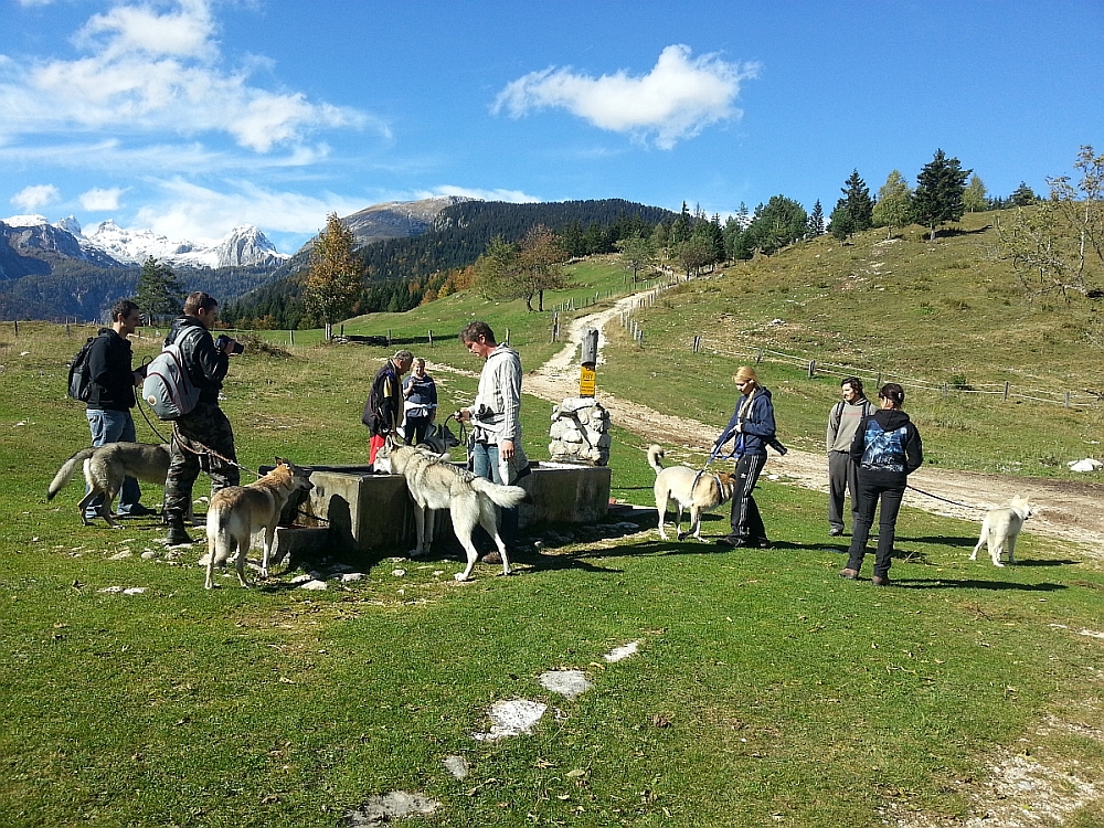 setkání majitelů ČSV - Slovinsko 13.10. 2013