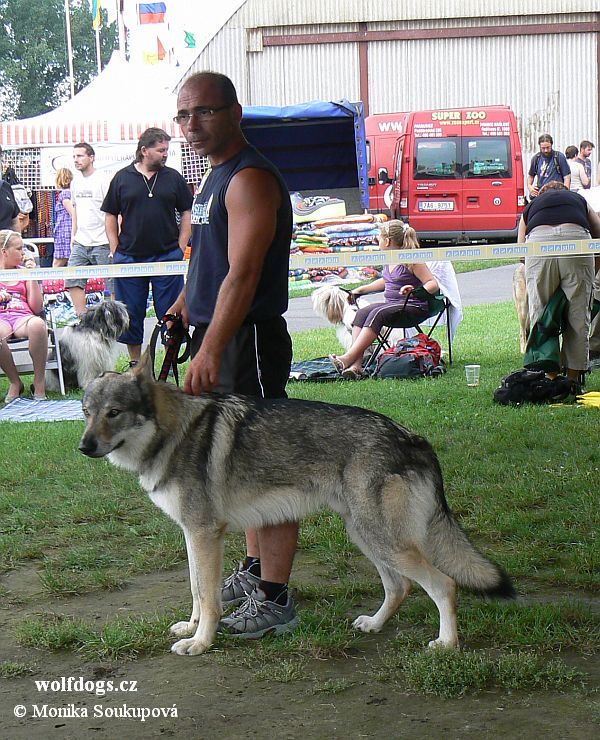 Yunior z Molu Es a Martin - V1, CAC - Interdog Bohemia 2011