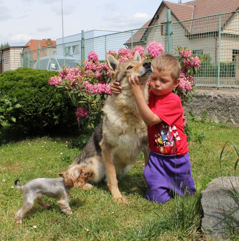 Jaw z Molu Es 15 let s kámoškou a Lukym Hladíkem