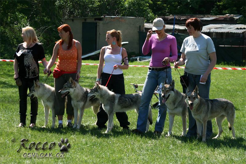 KV soutěž ch.skupin - Monika S. a Yukon, Monika K. a Ziggy Lee, Veronika a Zephiré, Kamila a Ohnivák, Jana a Orka z Molu Es - Roudnice 2011