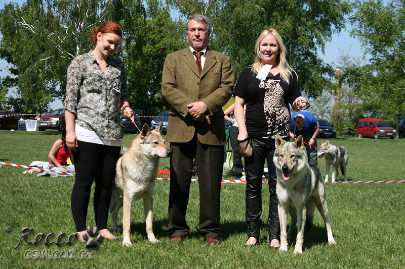 Agnieszka Boguslawska a Gisotsu CW - KV pes, rozhodčí Š. Štefík, Monika Soukupová a Yukon z Molu Es - KV fena, BOB - Roudnice 