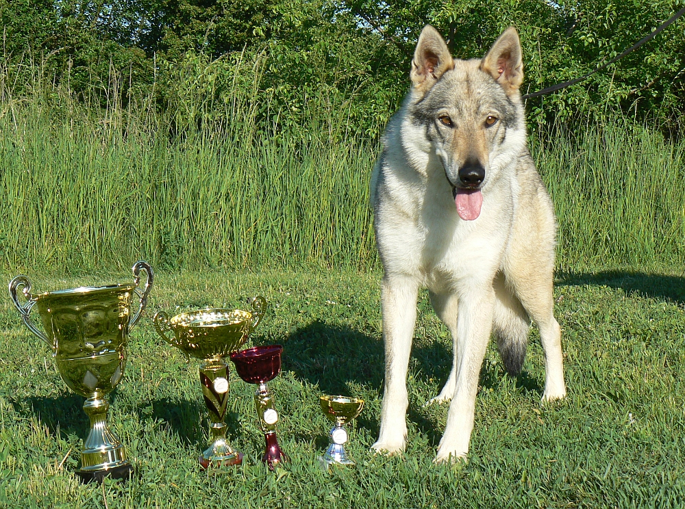 Yukon z Molu Es a trofeje Litoměřice 2014