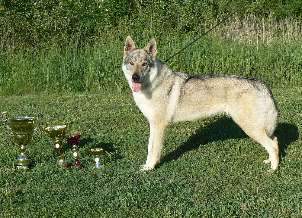 Yukon z Molu Es a trofeje MVP Litoměřice