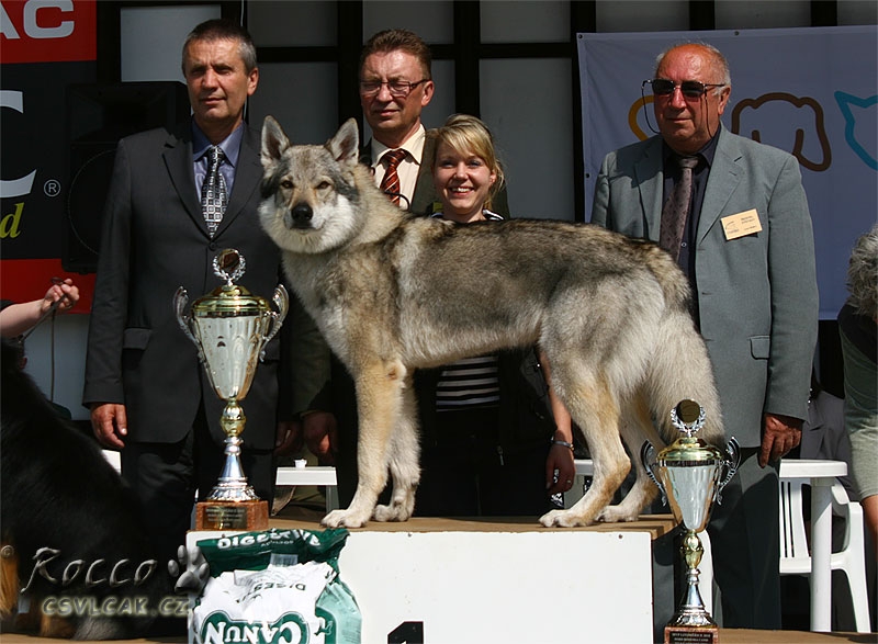 Veron z Molu Es V1, CAC, CACIB, BOB, BONB.I. - Litoměřice 2010