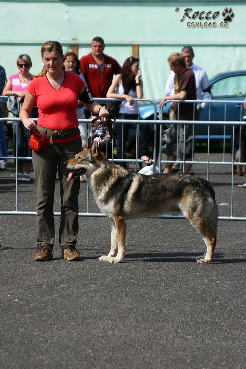 Jerry Lee z Molu Es V1, Nejkrásnější veterán - Litoměřice 2010