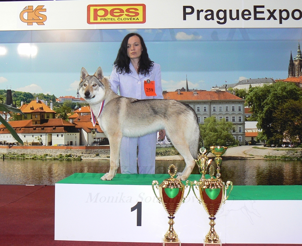 Aglaya z Molu Es a Petra se všemi trofejemi: CAC, CACIB, BOB, BONB I., BIG I.