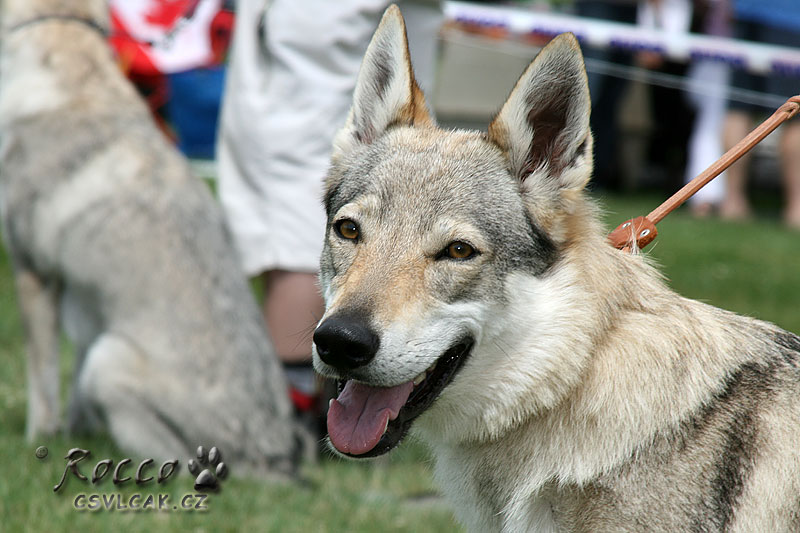 Xitta z Molu Es NVP MB červenec 2010