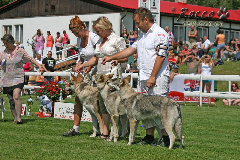 Chovatelská skupina ČSV "z Molu Es" (Ziggy Lee, Yukon, Zephiré) se dostala do "užšího výběru" - NVP -MB