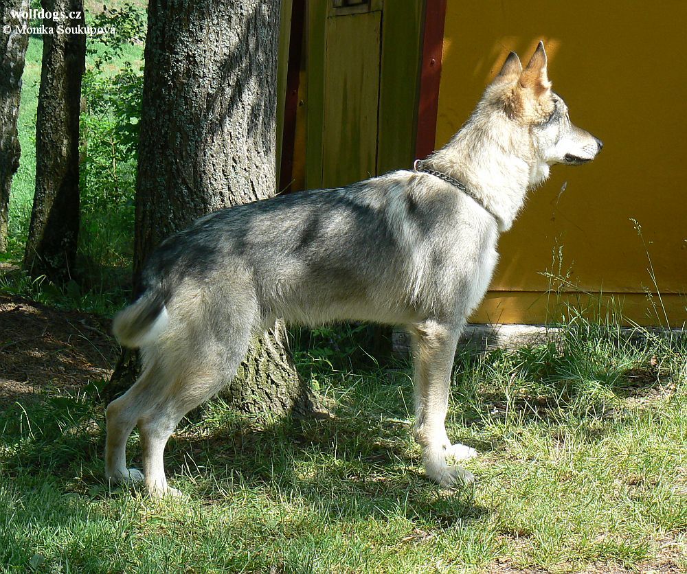 Yunior z Molu Es - 5.6. 2011 Nadějkov