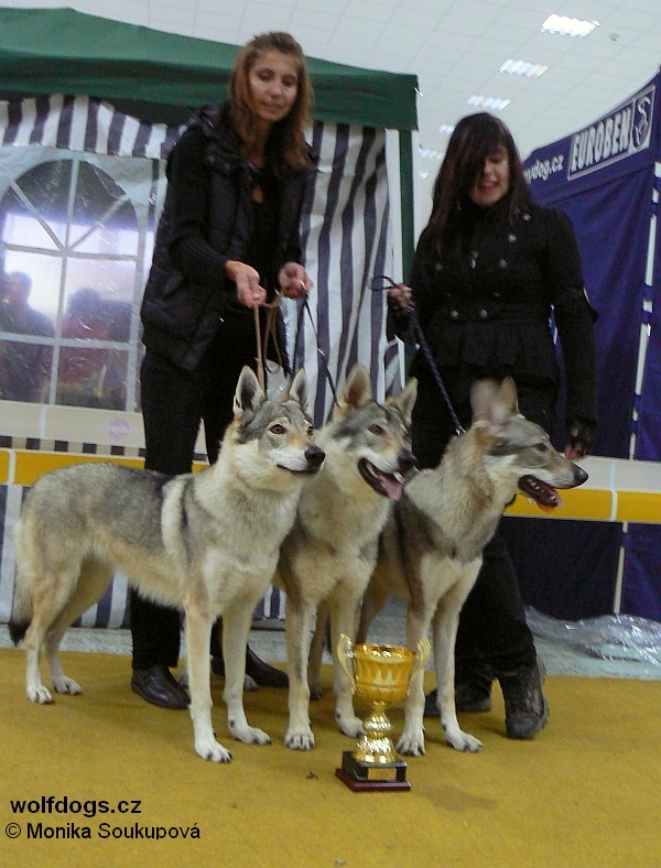 Nejkrásnější chovatelská skupina DuoCacib Nitra 2010