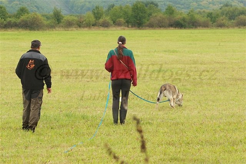 výběrový závod Beroun - Kamila a Ohnivák foto: Luboš Jonáš