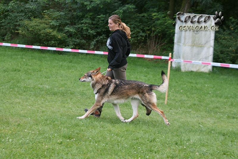 Jerry Lee z Molu Es a Monika - Roudnice 19.9. 2010 - V1, Nejlepší veterán.