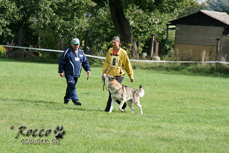 Ohnivák a Kamila na poslušnosti -  Roudnice 18.9. 2010