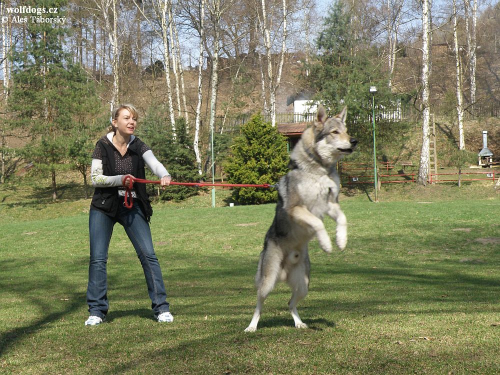 Šárka Švadlenková a Veron z Molu Es - 3.4. 2011 Česká Kamenice