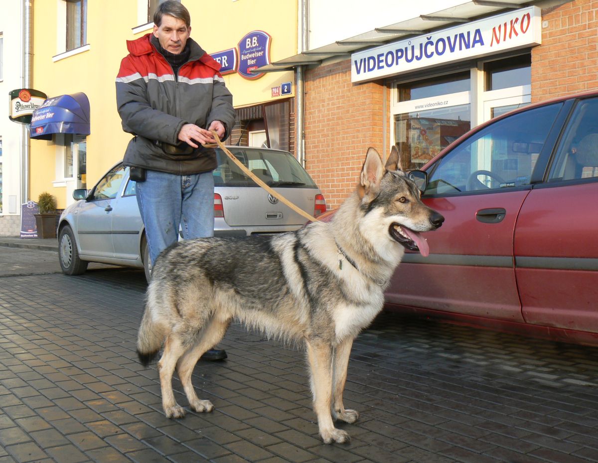 Viking z Molu Es a jeho majitel Honza Bočko