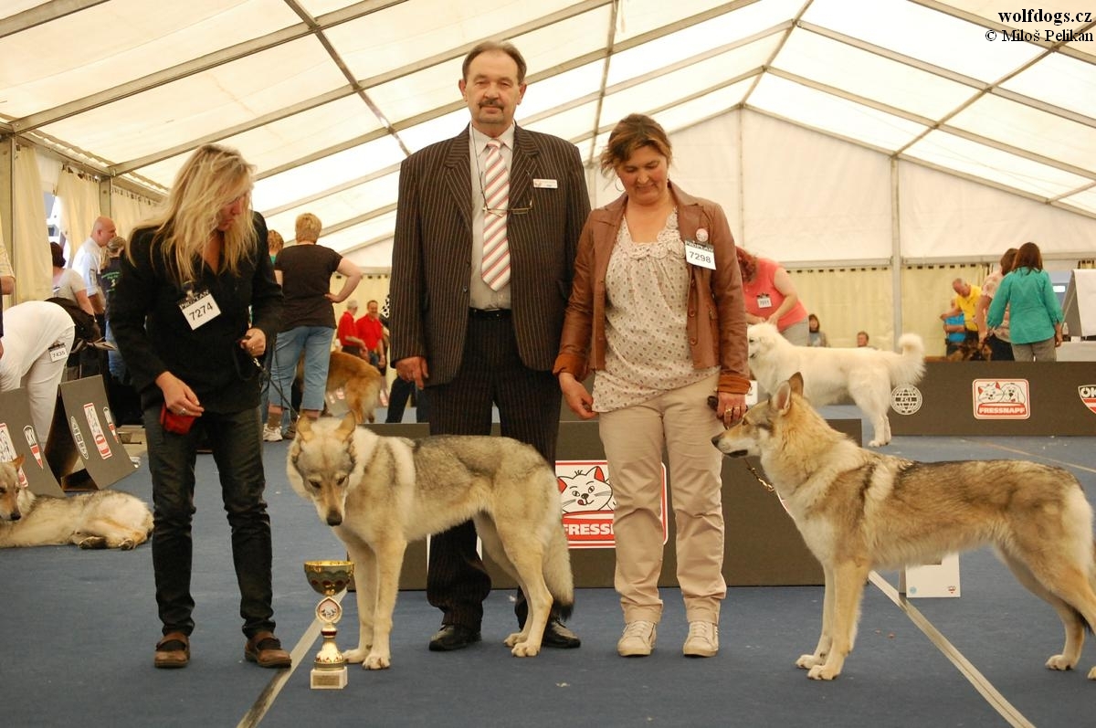 Yukon z Molu Es - CAC, CACIB WW a Grisca PDL CAC, res.CACIB a rozhodčí M. Václavík