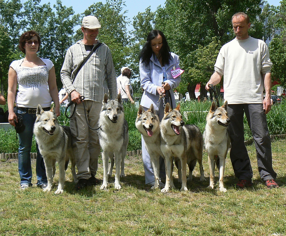 "z Molu Es" - WDS 2013 - Zar, Amarok, Aglaya, Atinka Sun, Archie