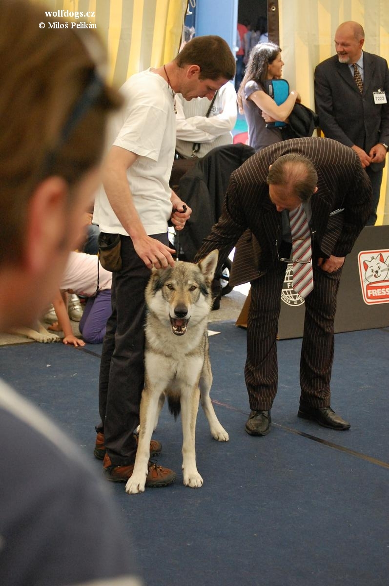 Yahoo kontrolován rozhodčím - WDS Salzburg 2012