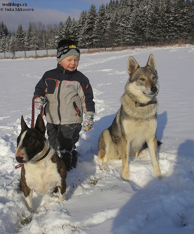 Maja, Luka a Wolfish Witch na Kuklíku - zima 2010