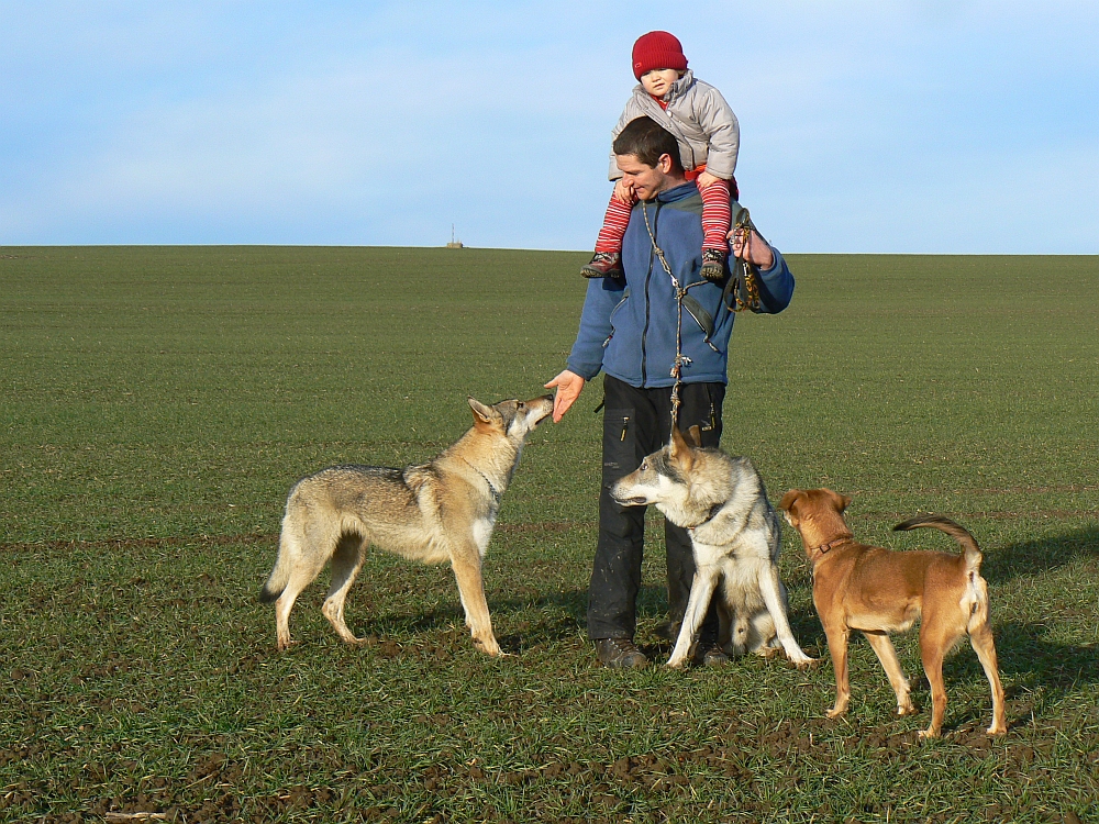 Tinky, Aleš, Helenka, Yahoo a Bonie - 6.1. 2014 Černý Vůl