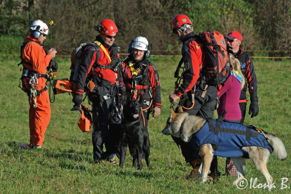 2014 cvičení horské služby