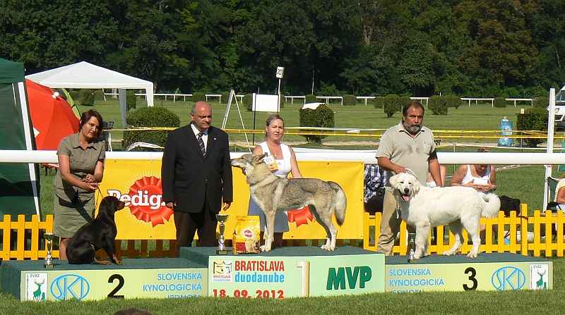  BONB I. - Yukon z Molu Es - Bratislava 18.8.2012