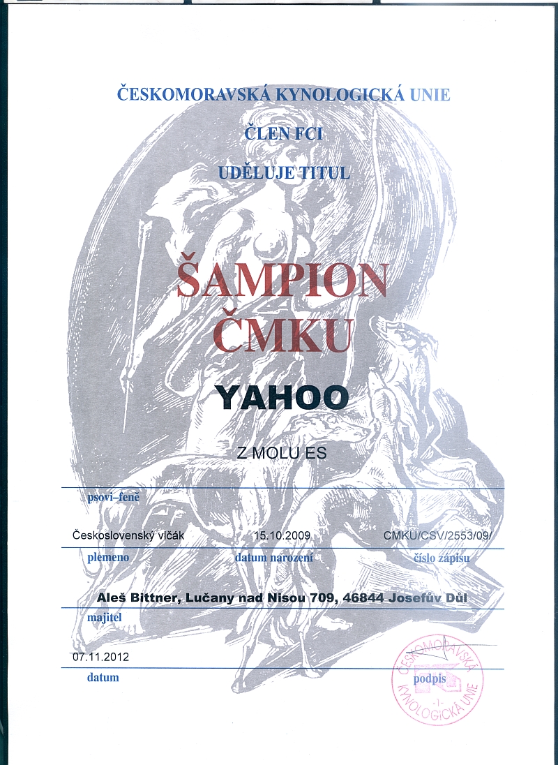 Šampion ČMKU - Yahoo z Molu Es