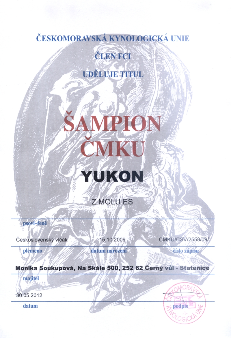 Šampion ČMKU - Yukon z Molu Es