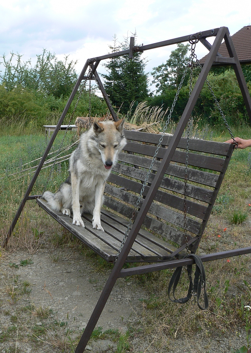 Katka nám ukázala, jak se Zar umí houpat na houpačce :0)