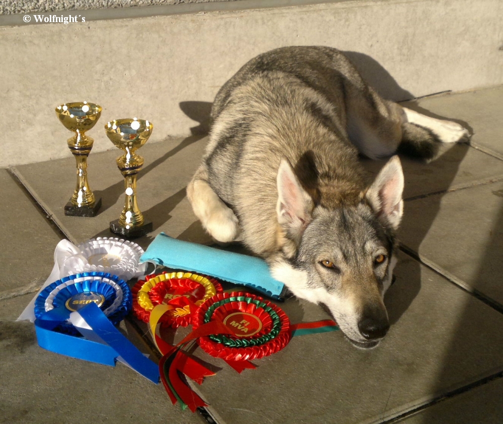 MVP Helsinky - Zoe Zeta z Molu Es - CAC, CACIB, BOB